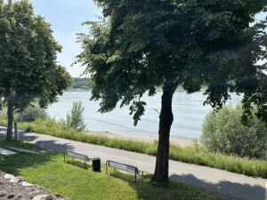 Rhein