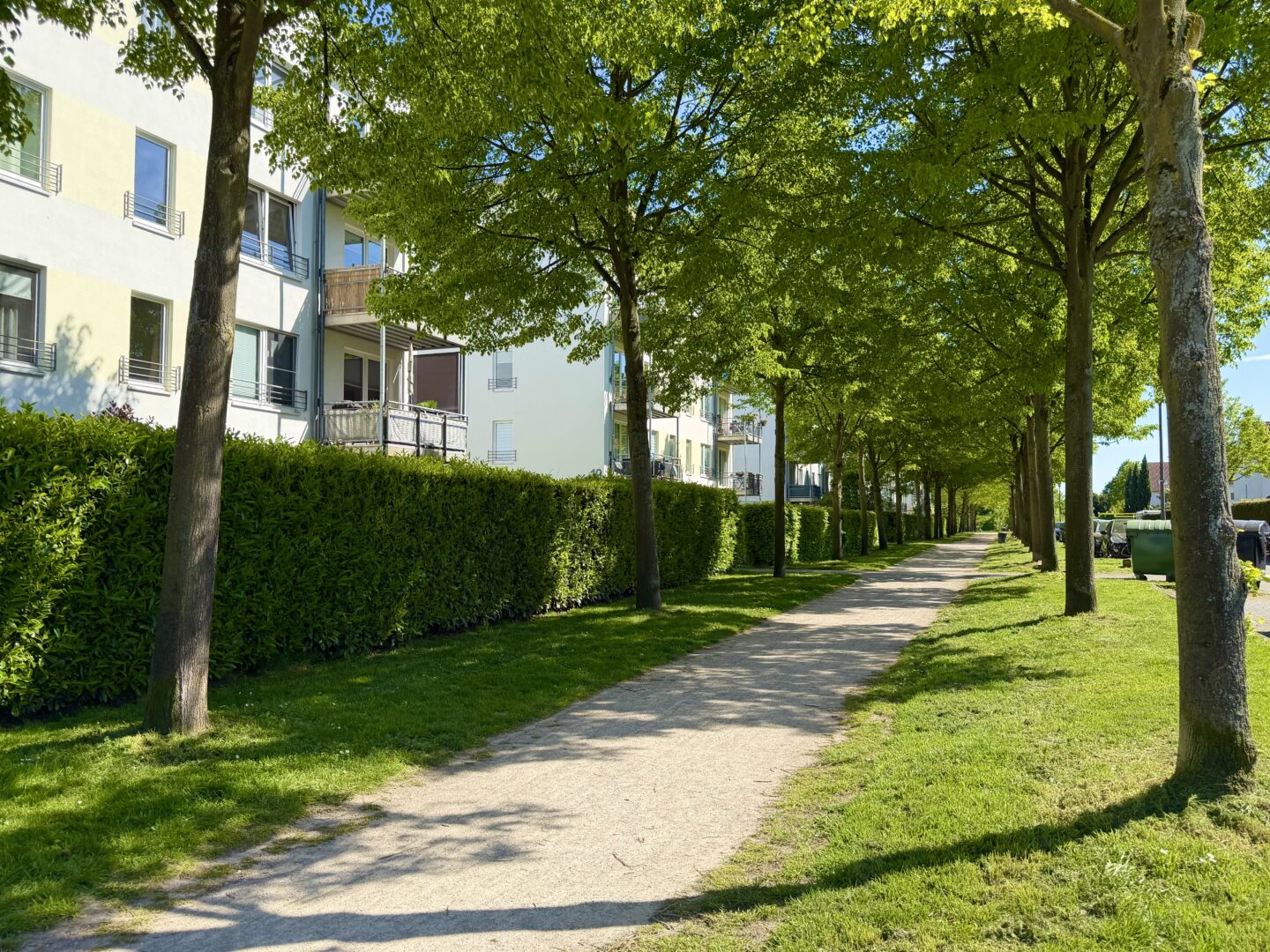 Allee