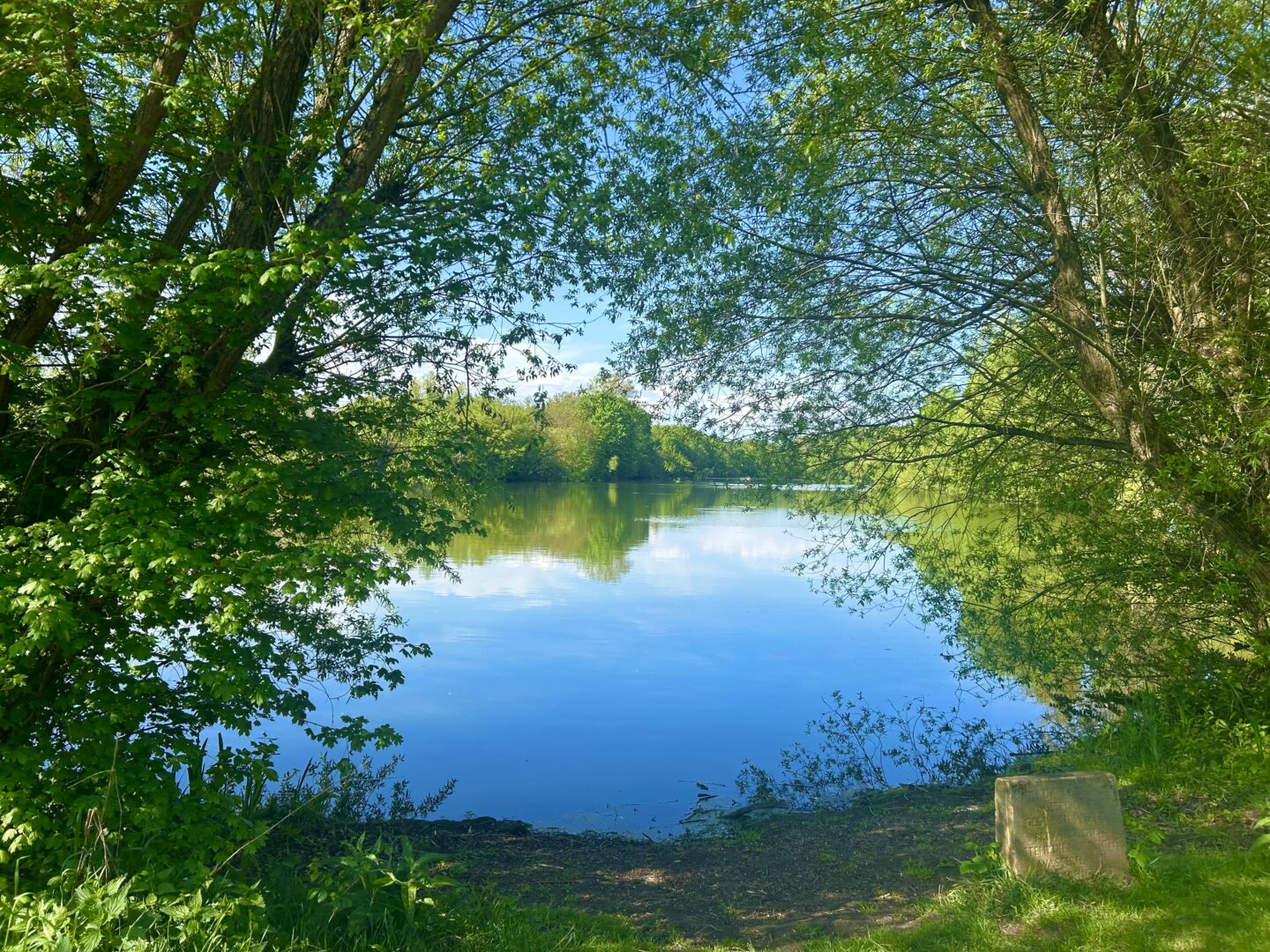 Groov im Sommer